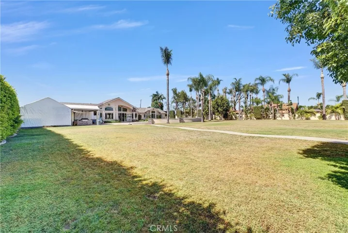 Huge Yard