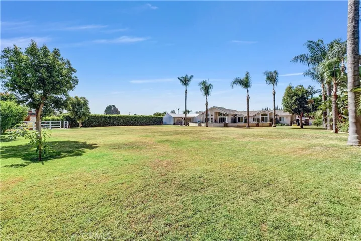 Huge Yard