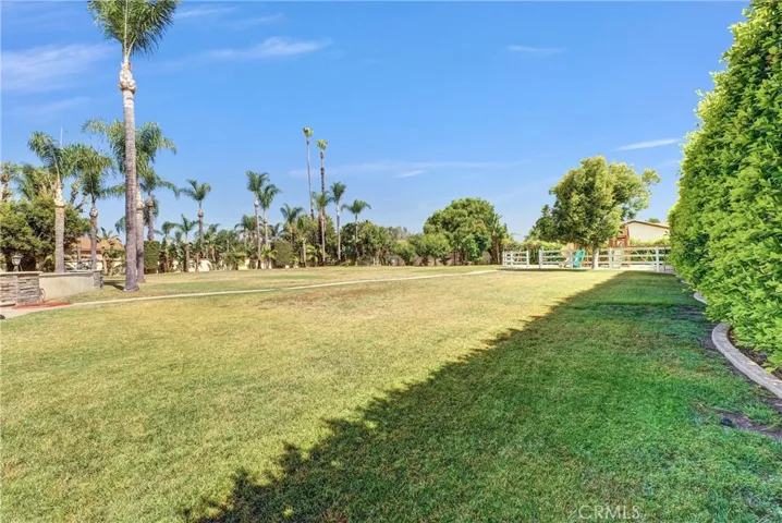 Huge yard