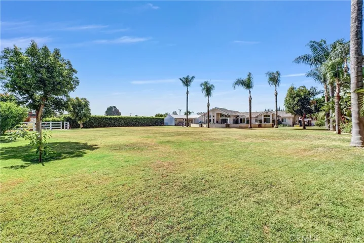 Huge Yard