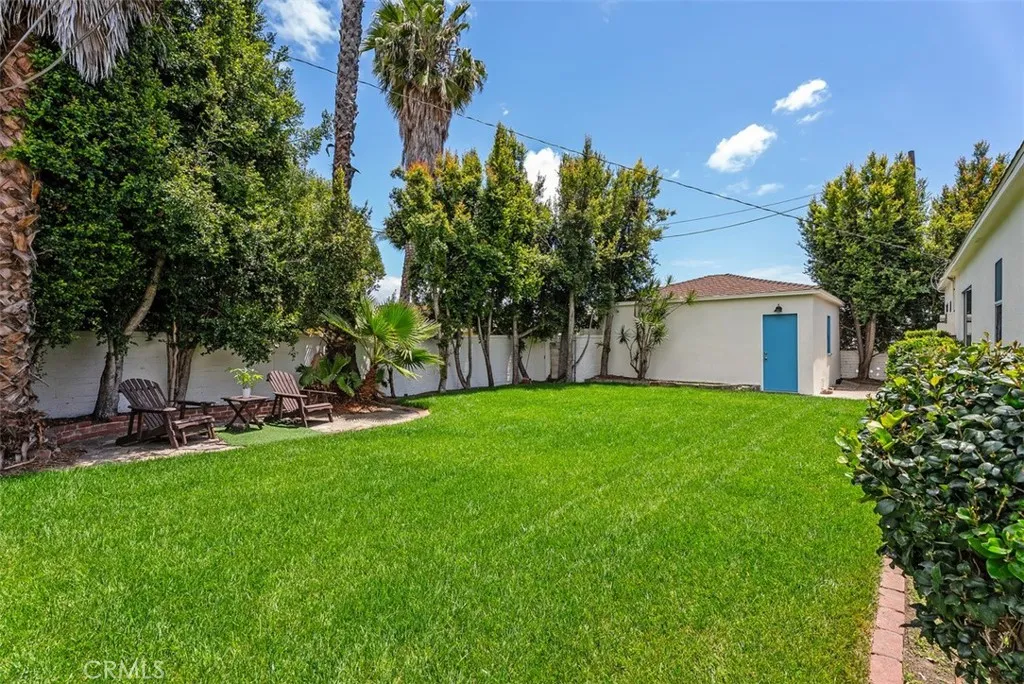 Backyard.