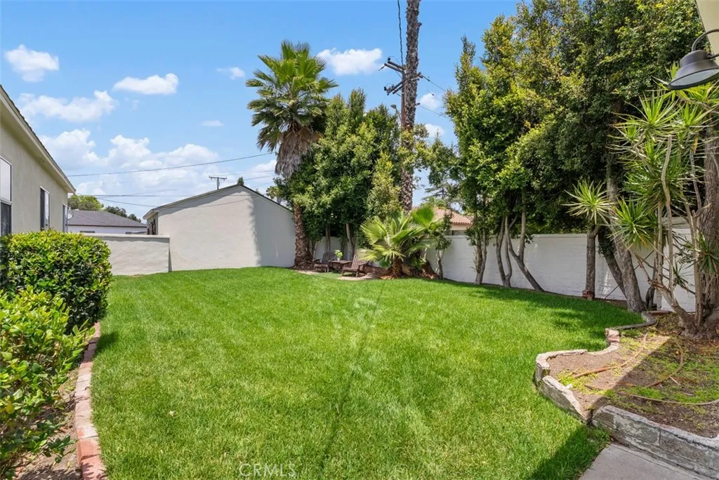 Backyard.
