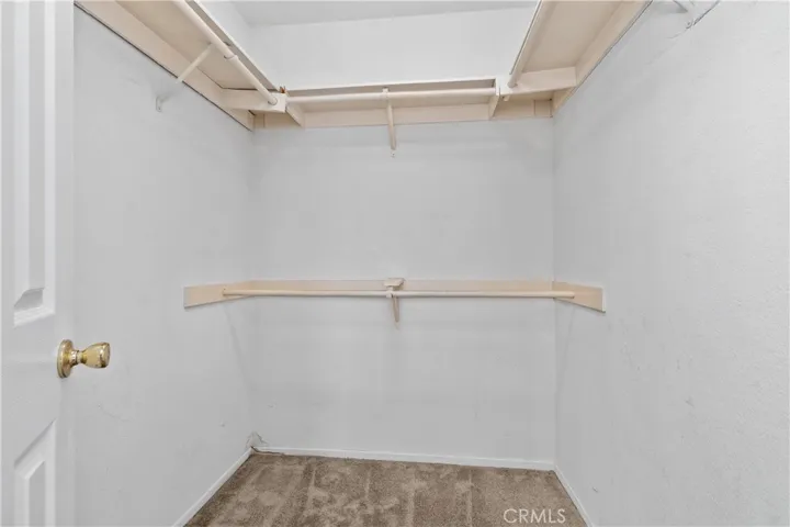 Walk-in Closet in Master Bedroom