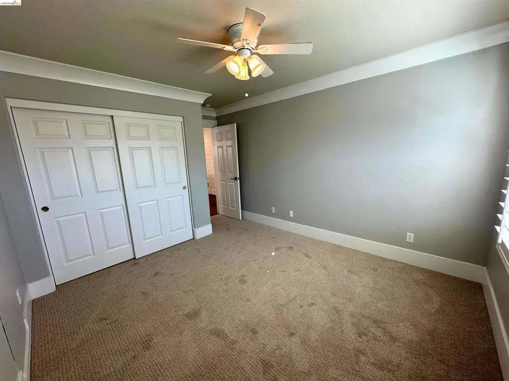 Textured carpet flooring, neutral painted walls, white crown molding, ceiling fan with integrated lighting, and plantation shutters