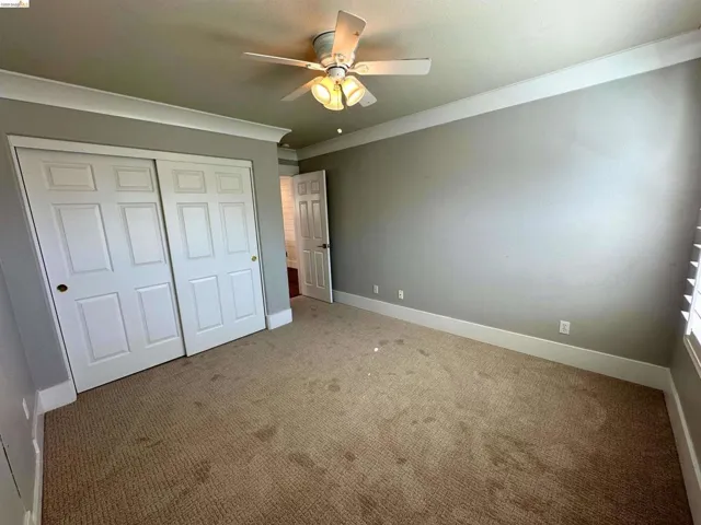 Textured carpet flooring, neutral painted walls, white crown molding, ceiling fan with integrated lighting, and plantation shutters