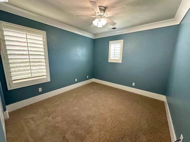 Carpeted room featuring two windows with white plantation shutters, crown molding, and a ceiling fan with integrated lighting