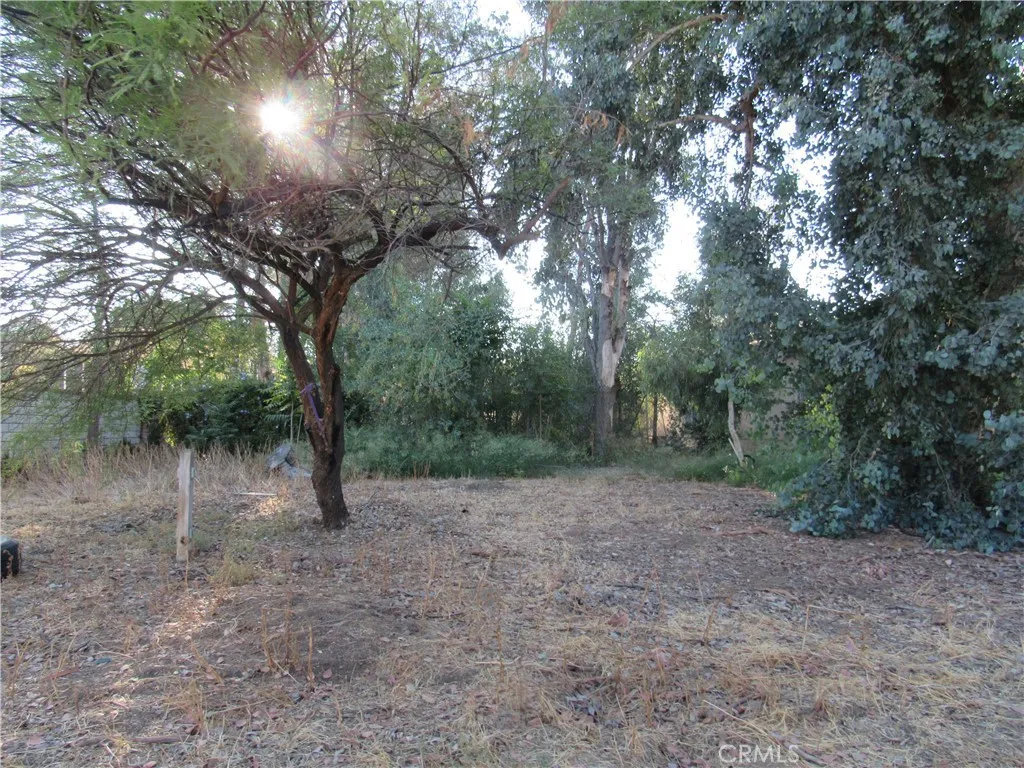 Front yard
