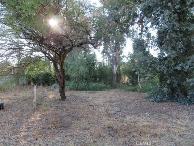 Front yard