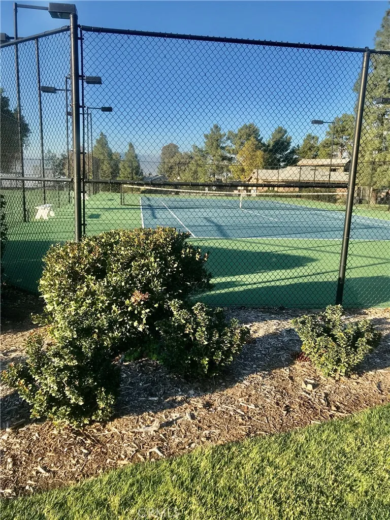 Tennis and Sports Court