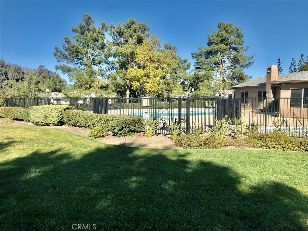 Pool Area View 2