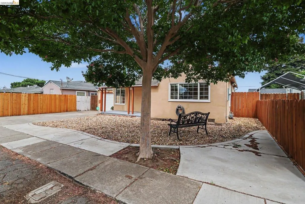 Established landscaping featuring a mature tree, gravel hardscaping, and a concrete driveway