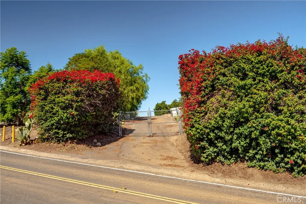 Another view of the gated entry lined by boughanvilla flowers.