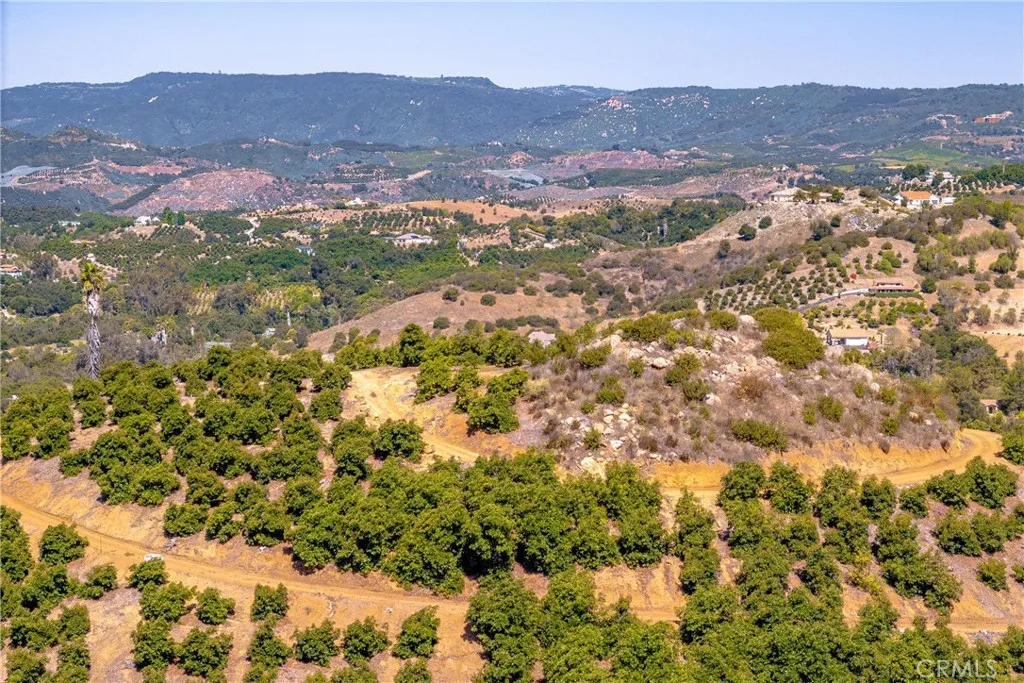 Aerial of the avocado grove and roads to the hilltop.