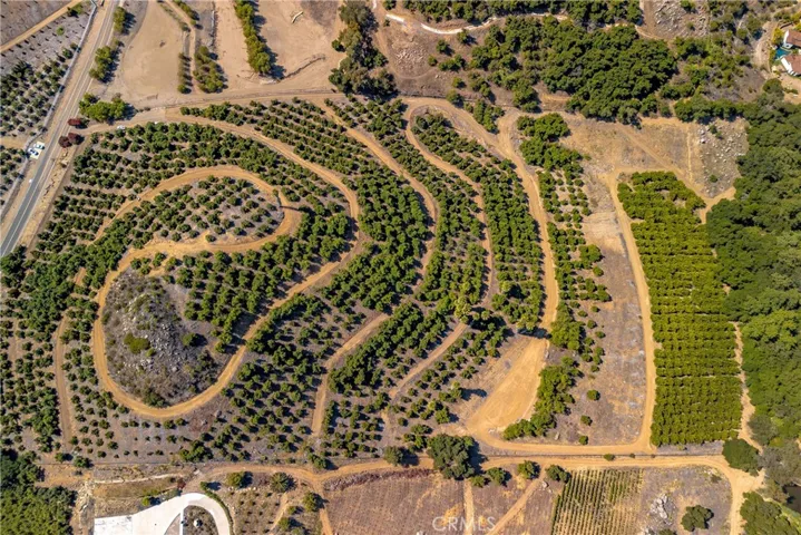 Amazing Aerial view and to the right is the flat area where the 2 acres of Mexican sweet limes are planted.