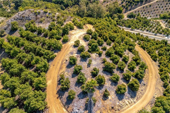 Aerial of Avocado grove and perfect spot to build your home!