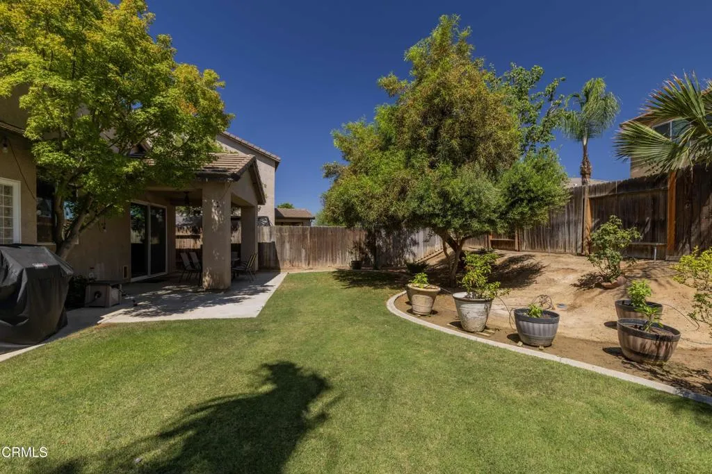 35_backyard_5