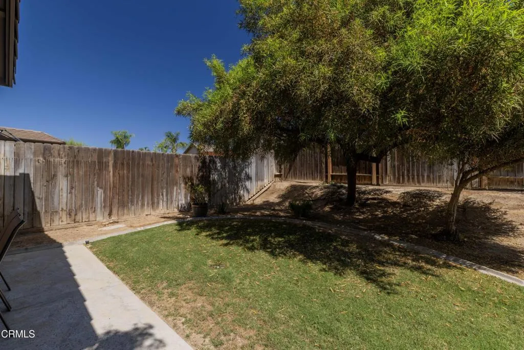 32_backyard_2
