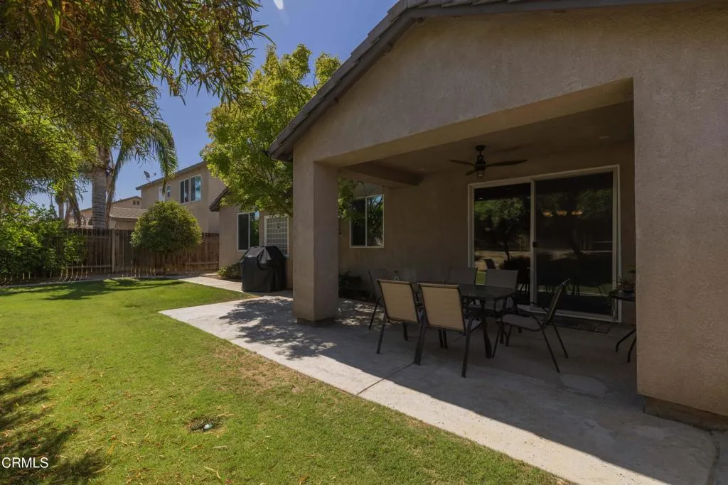 33_backyard_3