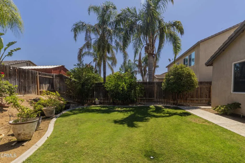 34_backyard_4