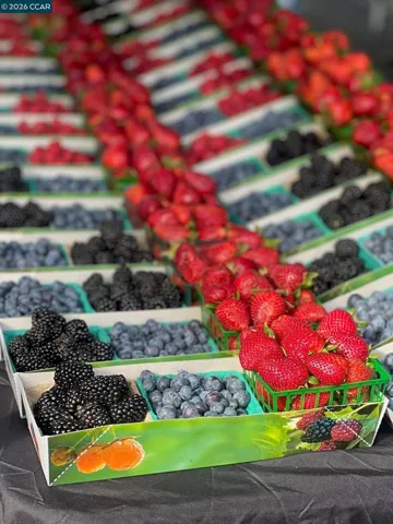 Farmer's Market
