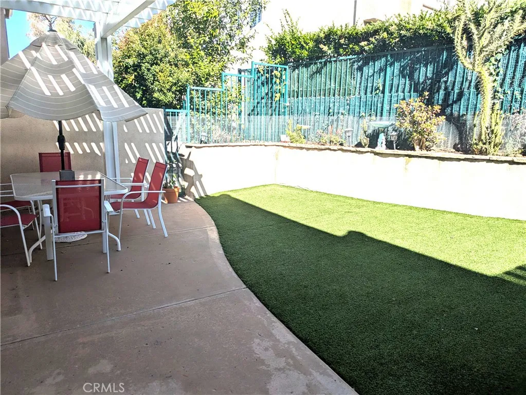 backyard2