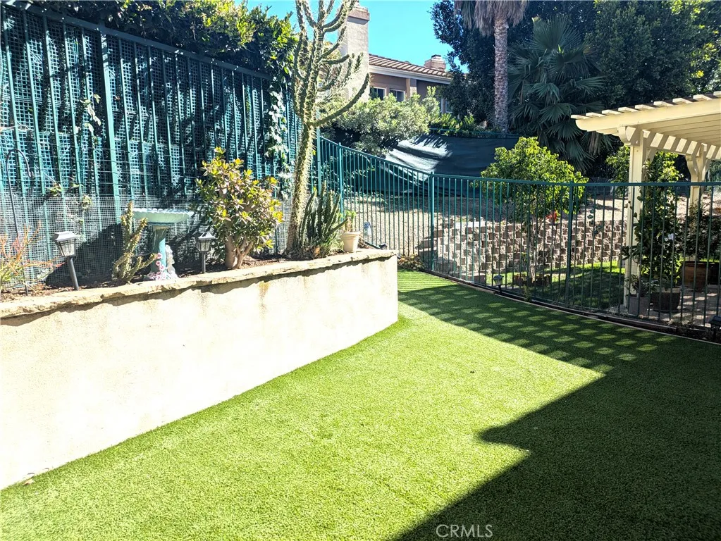 backyard3