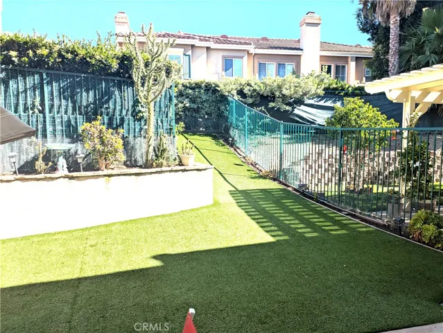 backyard1