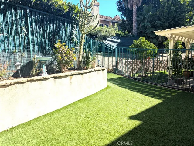 backyard3
