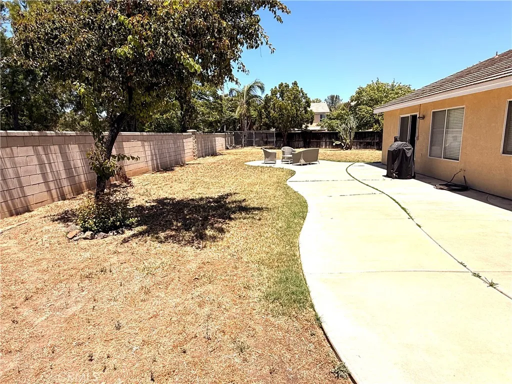 Back yard