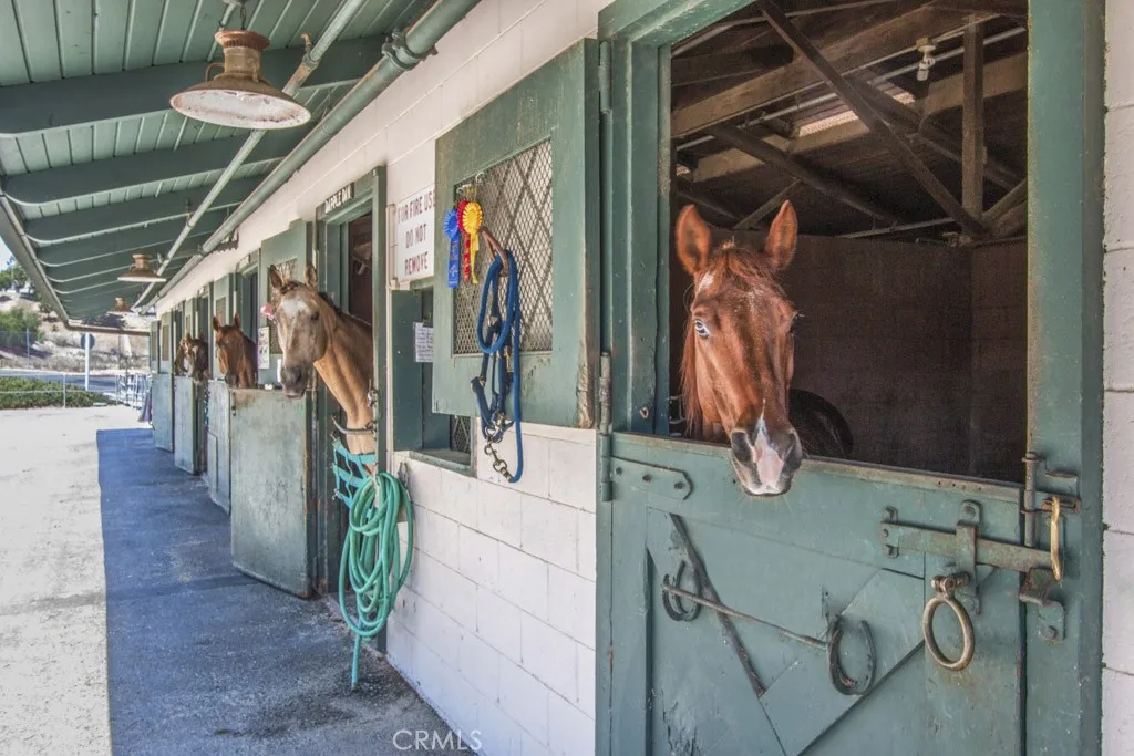 Laguna Woods horse stables