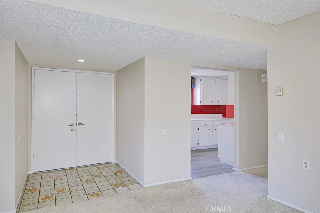 Entrance and Kitchen