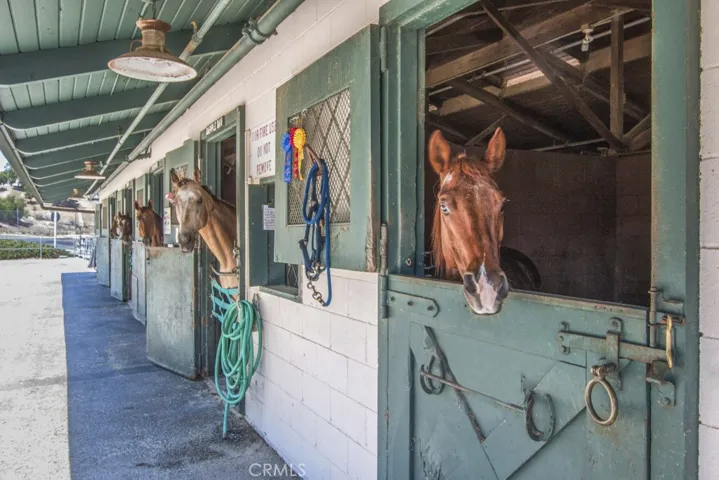 Laguna Woods horse stables