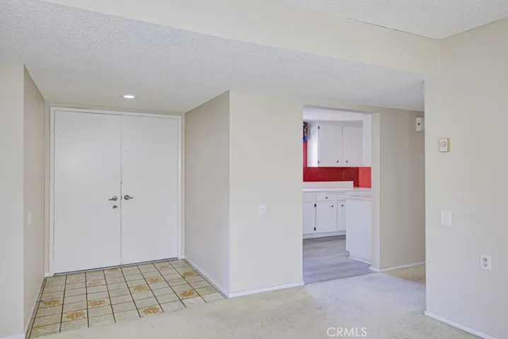 Entrance and Kitchen