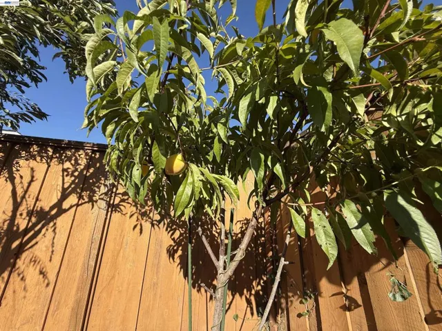 1362 Esser Ave, San Leandro, California 94579