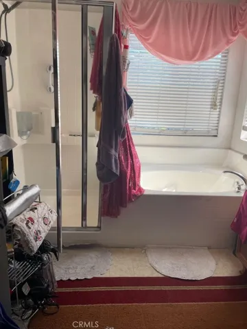 Master Bathroom 2