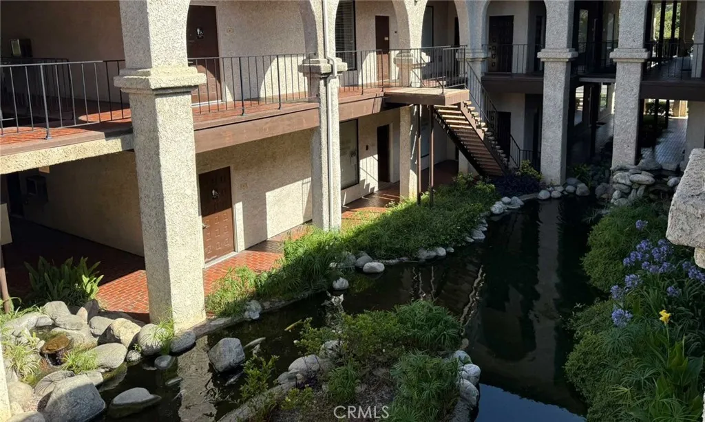 Koi pond