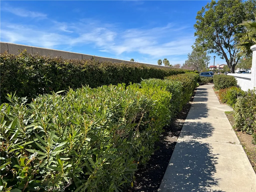 pathway to front entrance