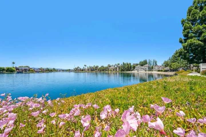 1051 Helm Lane, Foster City, California 94404