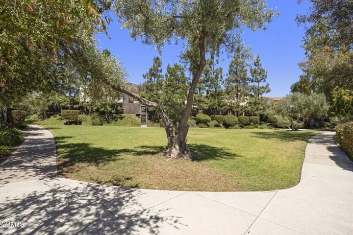 66-web-or-mls-609Cayo180