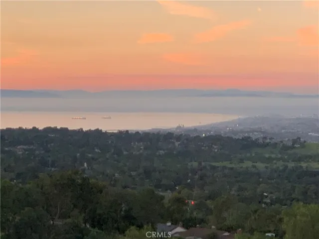 Panoramic view