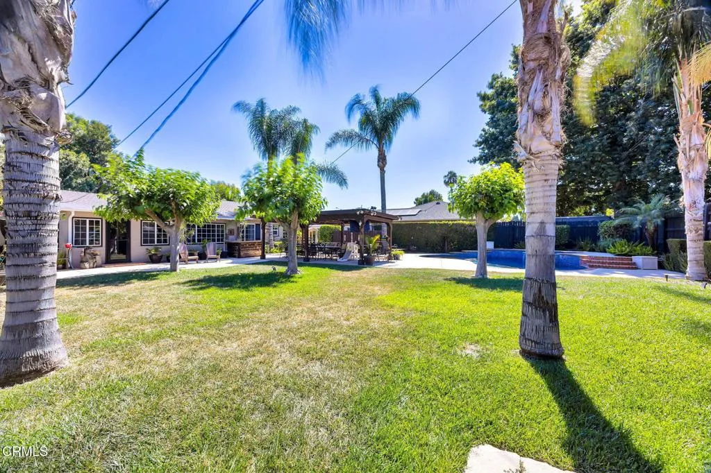 large grass yard