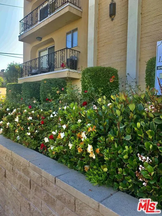 Rose Garden