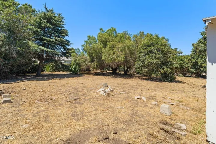 Backyard / Lot