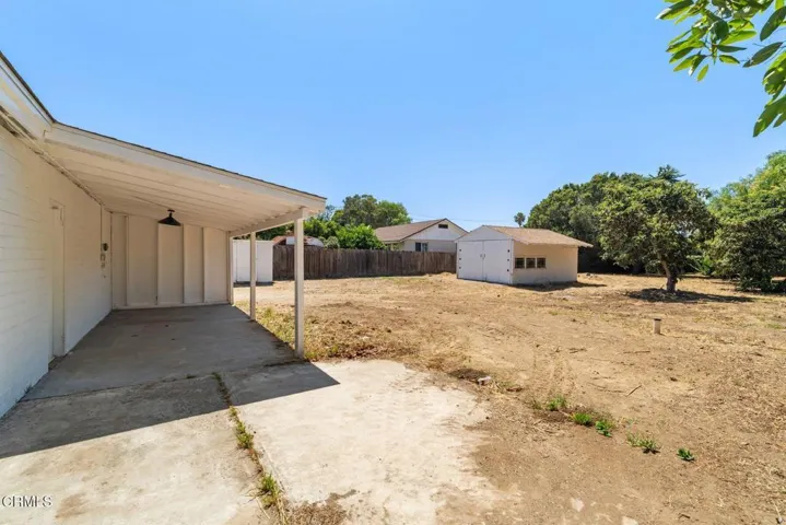 Backyard / Lot