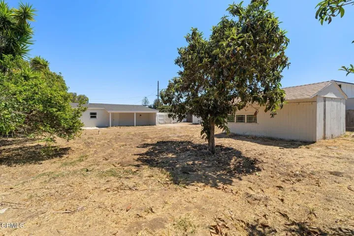 Backyard / Lot