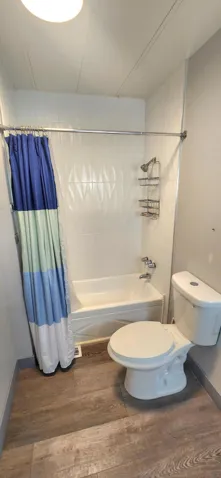 Tiled Shower and bathtub