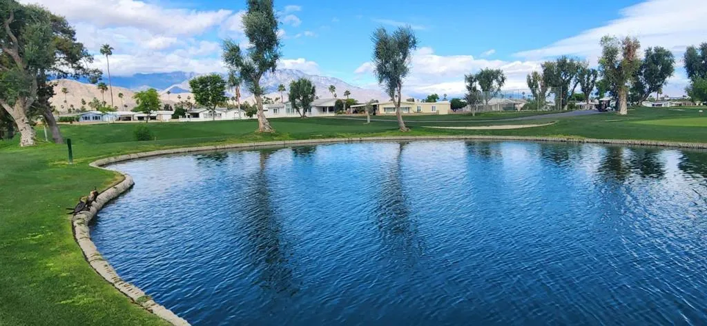 Pond  View at #9