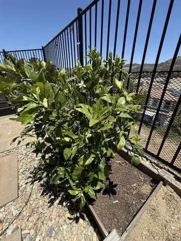 13238 Mystic Way, Lakeside, California 92040