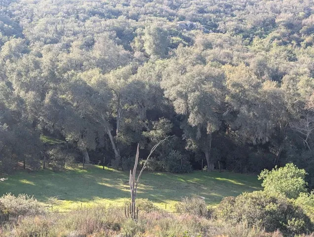 18868 Paradise Mountain Road, Valley Center, California 92082