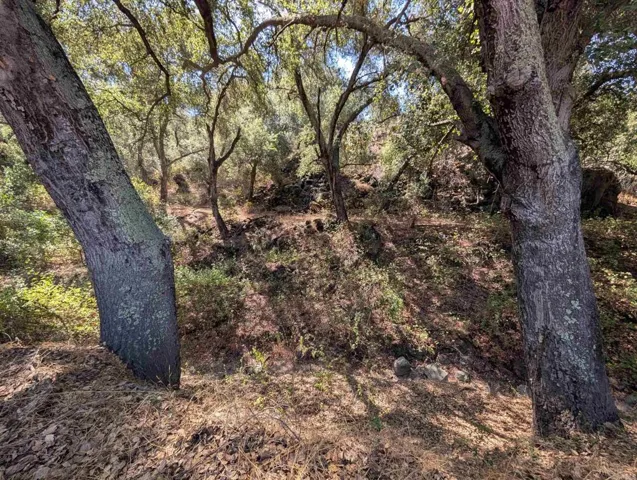 18868 Paradise Mountain Road, Valley Center, California 92082
